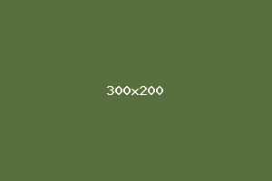 placeholder